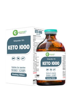 KETO 1000 (export)