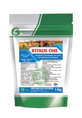 kitalis-one-iraq