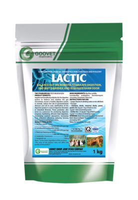 lactic-iraq