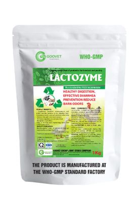 LACTOZYME