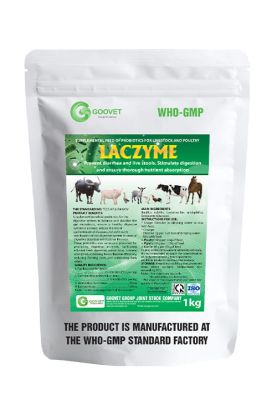 LACZYME