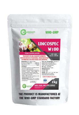 LINCOSPEC W100