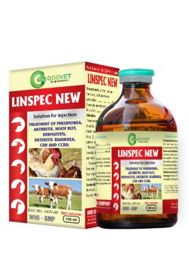 LINSPEC NEW (Iraq)