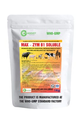 MAX - ZYM B1 (SOLUBLE)