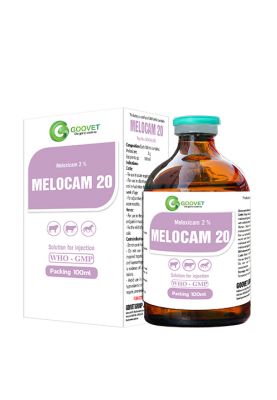 MELOCAM 20 (export)