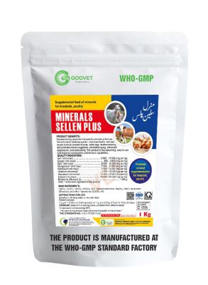 MINERALS SELLEN PLUS (Pakistan)