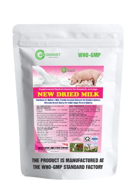 NEW DRIED MILK