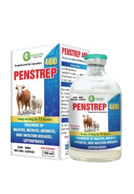 PENSTREP 400 (Iraq)
