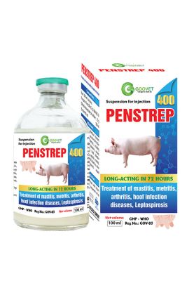 PENSTREP 400