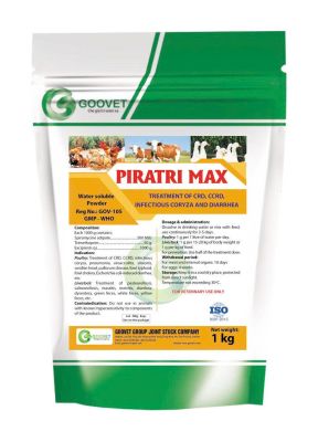 PIRATRI MAX (Iraq)