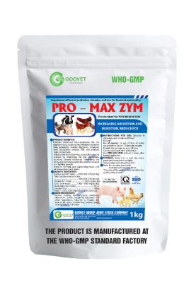 PRO - MAX ZYM