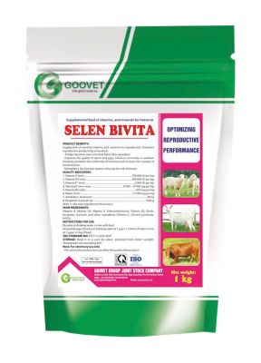 SELEN BIVITA (Iraq)