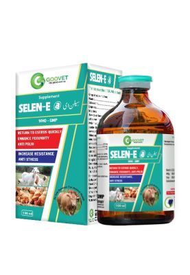 SELEN - E @ (Pakistan)