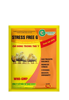 STRESS FREE G 