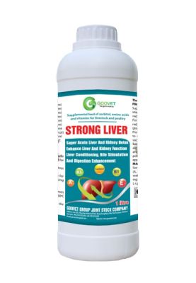 strong-liver-iraq