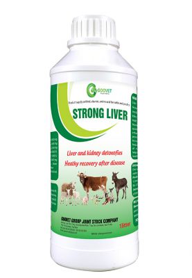 STRONG LIVER