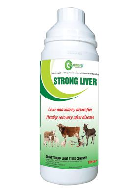 STRONG LIVER