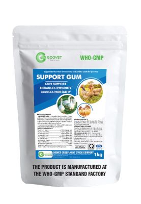 SUPPORT GUM