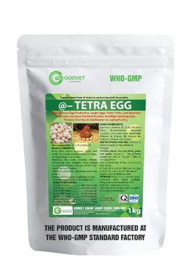 @ - TETRA  EGG