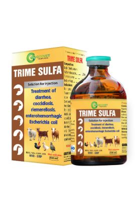 trime-sulfa-iraq