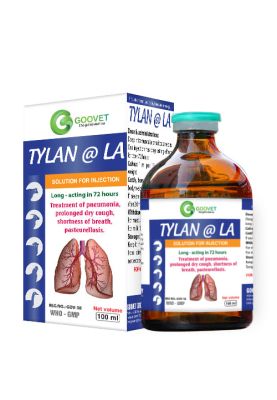 tylan-la-iraq