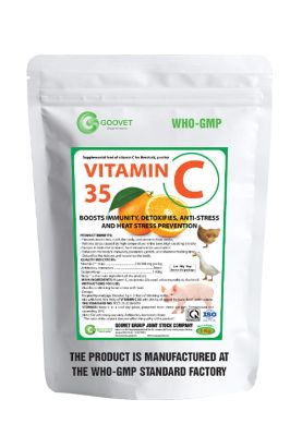 VITAMIN C 35