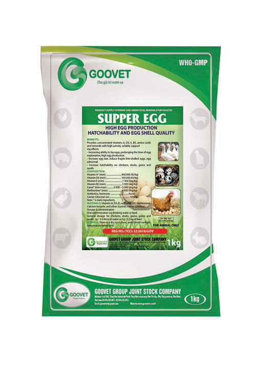 supper-egg-goovetvn
