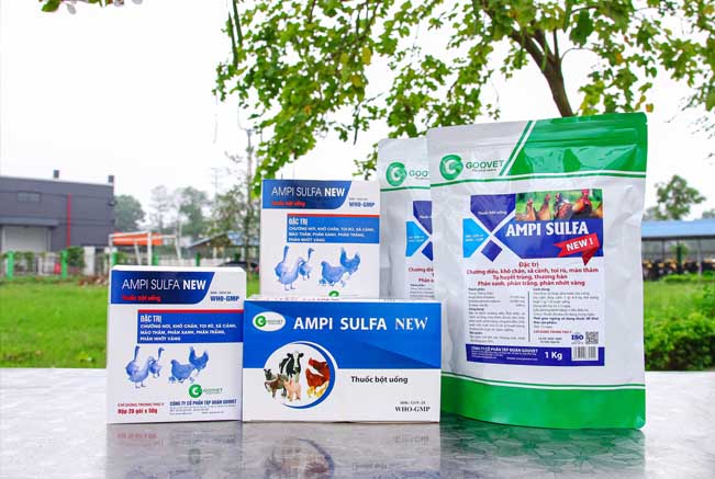 ampi-sulfa-new-thuoc-dac-tri-thuong-han-o-ga-8
