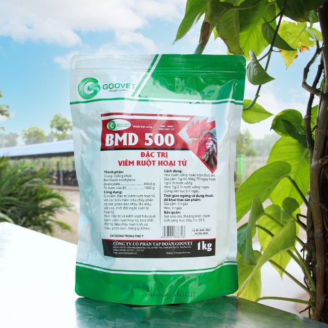 bmd-500-thuoc-dac-tri-viem-ruot-hoai-tu-o-ga