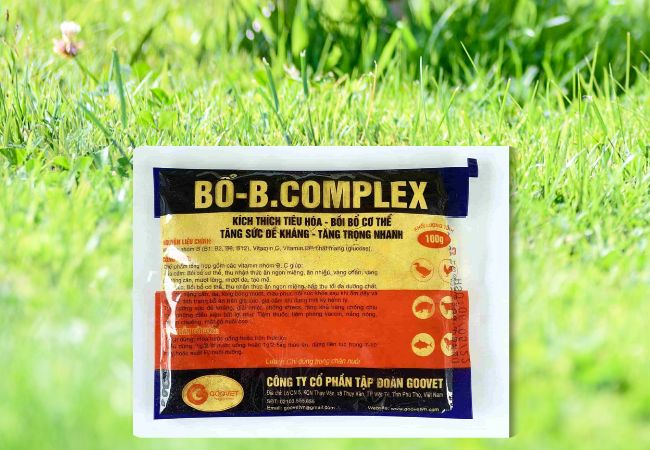 bo-b-complex