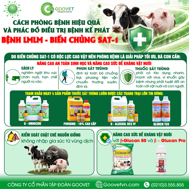 cach-phong-benh-va-phac-do-dieu-tri-benh-ke-phat-benh-lmlm-bien-chung-sat-1