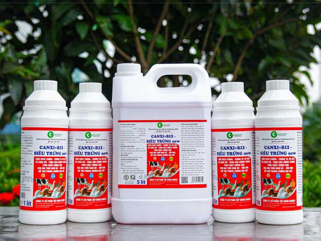 canxi-b12-sieu-trung-new-thuoc-bo-cho-gia-cam-de-trung