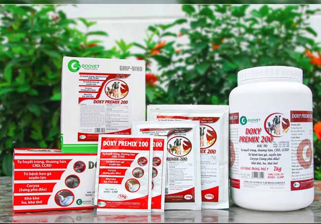 doxy-premix-200-thuoc-dac-tri-benh-tu-huyet-trung-o-ga