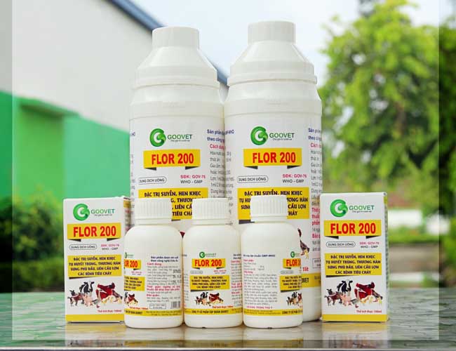 flor-200-thuoc-dac-tri-thuong-han-o-ga-4