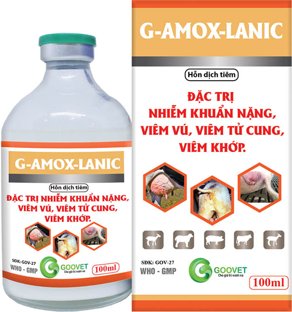 g-amox-lanic1