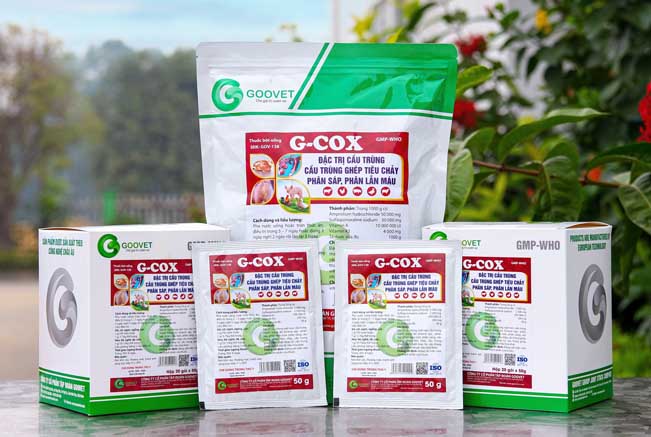 g-cox-thuoc-thu-y-dac-tri-cau-trung-o-ga