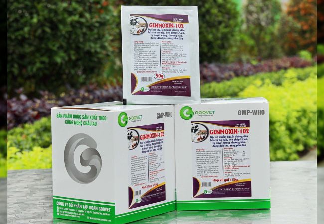 genmoxin-102-thuoc-dac-tri-thuong-han-o-ga