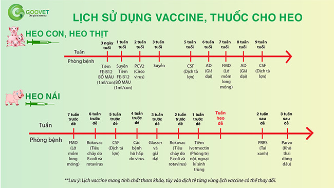 lich-vaccine