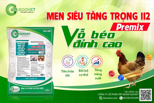 men-sieu-tang-trong-112-premix