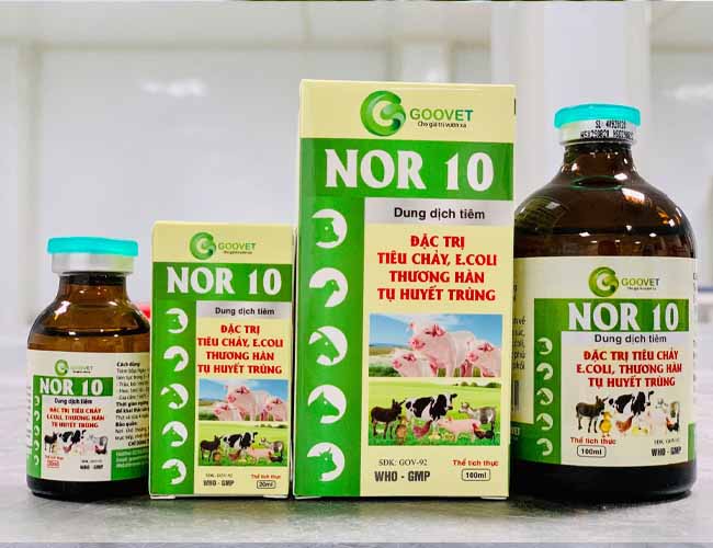 nor-10-thuoc-dac-tri-benh-tu-huyet-trung-o-ga