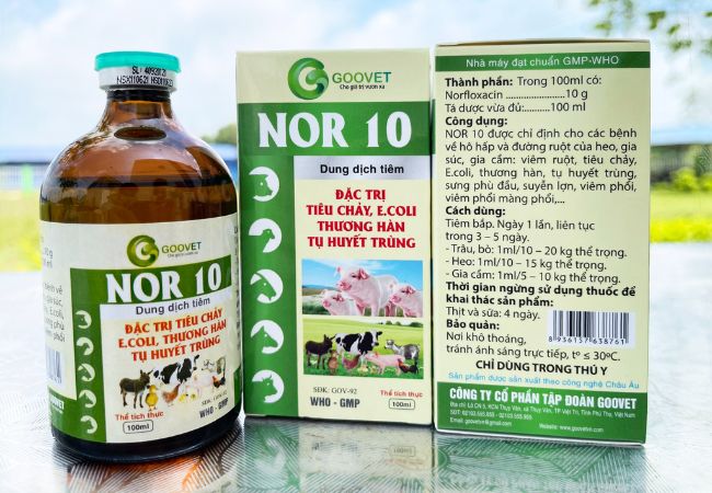 nor-10-thuoc-dac-tri-thuong-han-o-ga1