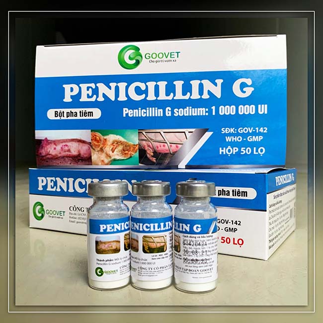 penicillin g