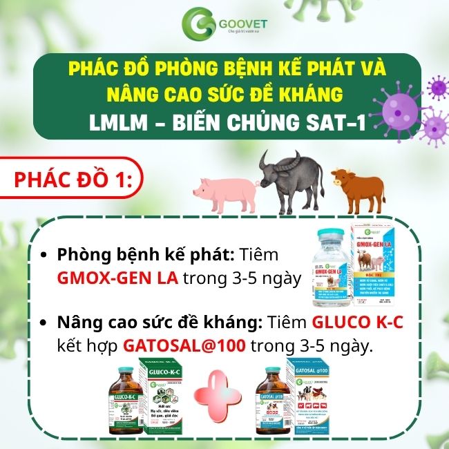 phac-do-phong-benh-ke-phat-va-nang-cao-suc-de-khang-lmlm-bien-chung-sat-1 1