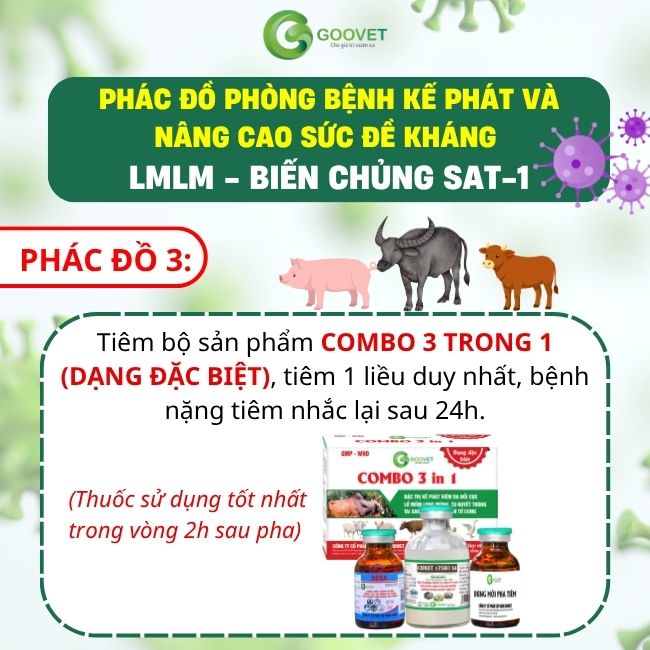 phac-do-phong-benh-ke-phat-va-nang-cao-suc-de-khang-lmlm-bien-chung-sat-1 3