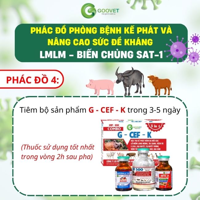 phac-do-phong-benh-ke-phat-va-nang-cao-suc-de-khang-lmlm-bien-chung-sat-1 4