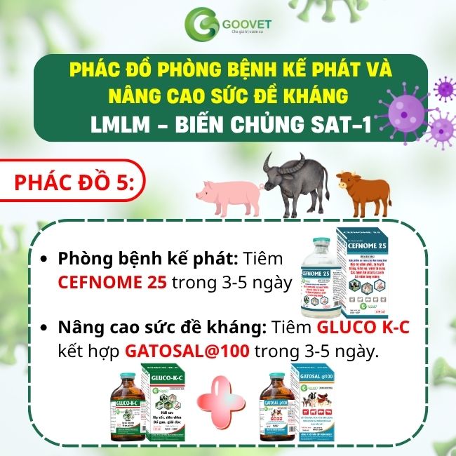 phac-do-phong-benh-ke-phat-va-nang-cao-suc-de-khang-lmlm-bien-chung-sat-1 5