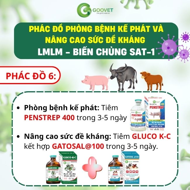phac-do-phong-benh-ke-phat-va-nang-cao-suc-de-khang-lmlm-bien-chung-sat-1 6