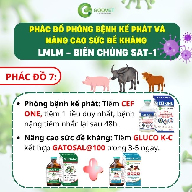 phac-do-phong-benh-ke-phat-va-nang-cao-suc-de-khang-lmlm-bien-chung-sat-1 7
