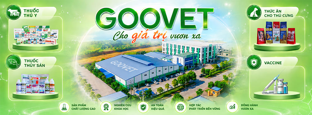 banner-web-goovet-2