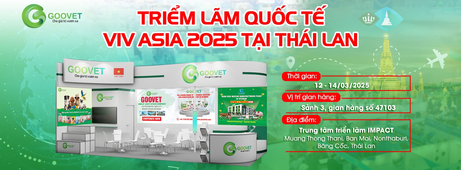 banner-web-viv-asia-2025-vi